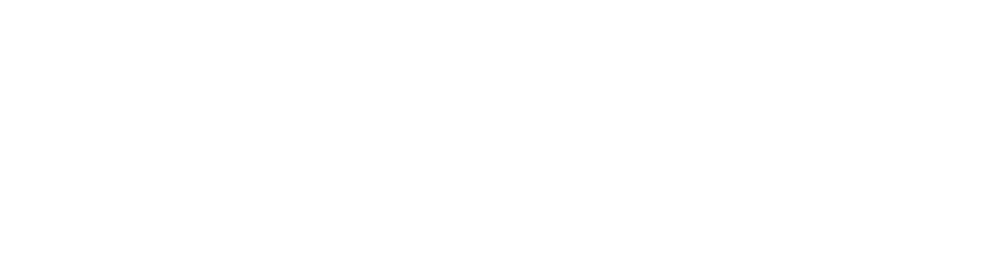 Adani